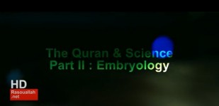 Quran & Science Part II : Embryology