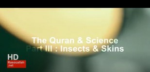 Quran & Science Part III Insects & Skins